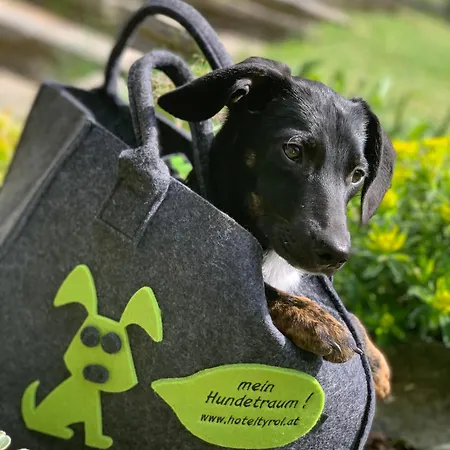 Alpenhotel Tyrol - - Hundefreundliches Konzepthotel - Adults Only بيرتيساو