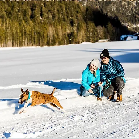 Alpenhotel Tyrol - - Hundefreundliches Konzepthotel - Adults Only Pertisau