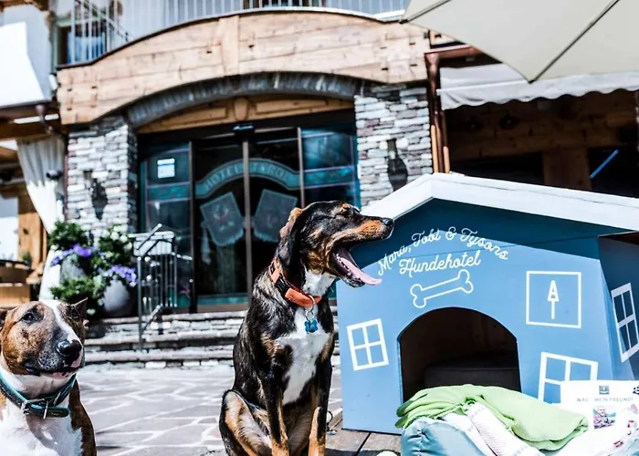 Hotel Alpenhotel Tyrol - - Adults Only - Alpines Lifestylehotel