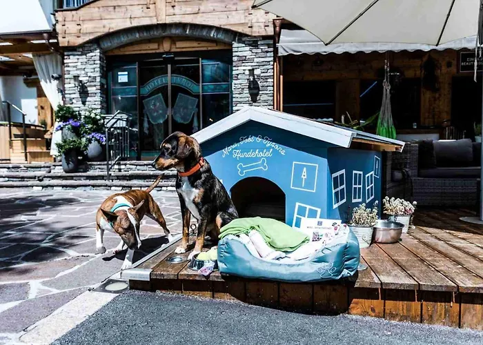 Hotel Alpenhotel Tyrol - - Adults Only - Alpines Lifestylehotel Pertisau