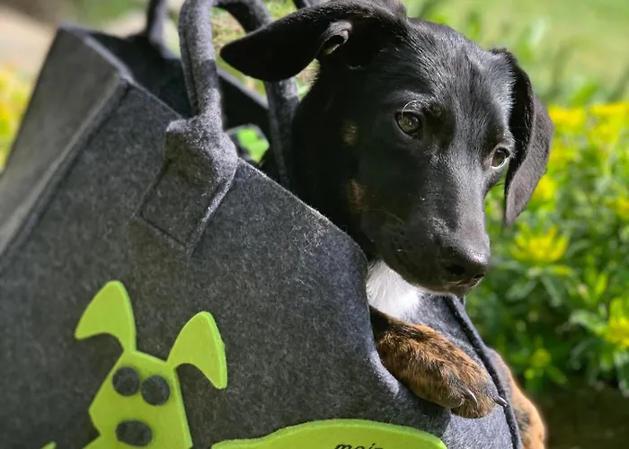 Alpenhotel Tyrol - - Adults Only - Alpines Lifestylehotel Pertisau