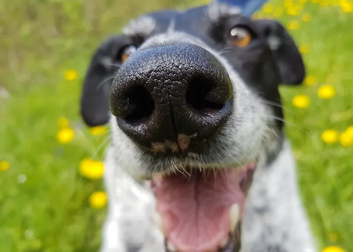 Alpenhotel Tyrol - - Adults Only - Alpines Lifestylehotel Hotel Pertisau