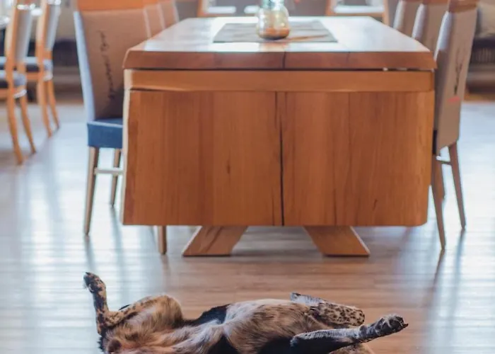 Hotel Alpenhotel Tyrol - - Adults Only - Alpines Lifestylehotel 4*