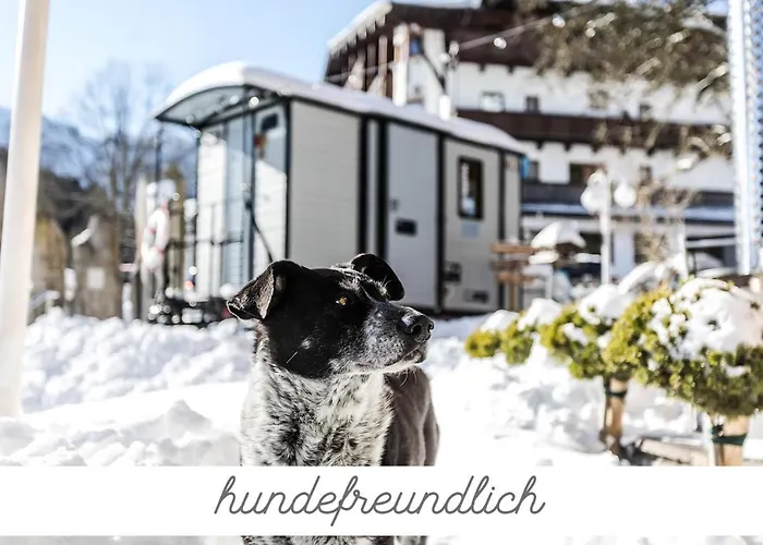 Hotel Alpenhotel Tyrol - - Adults Only - Alpines Lifestylehotel