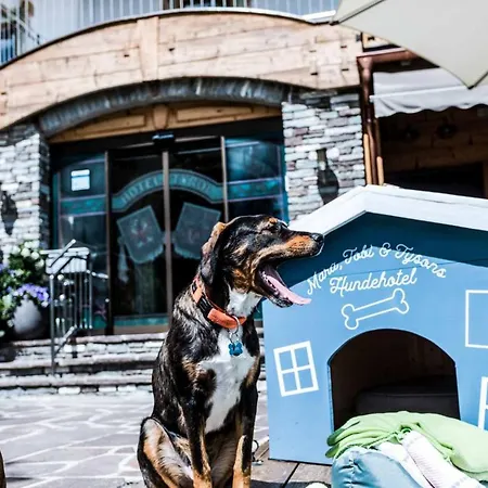 Hotel Alpenhotel Tyrol - - Adults Only - Alpines Lifestylehotel