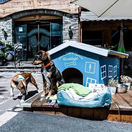 Hotel Alpenhotel Tyrol - - Adults Only - Alpines Lifestyle-konzepthotel - Dog Friendly Pertisau