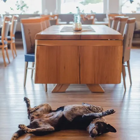 Hotel Alpenhotel Tyrol - - Adults Only - Alpines Lifestylehotel 4*