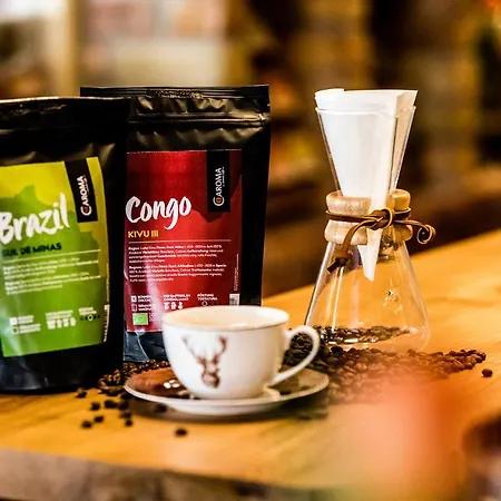 Hotel Alpenhotel Tyrol - - Adults Only - Alpines Lifestylehotel