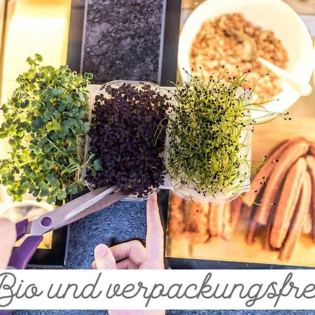 Alpenhotel Tyrol - - Adults Only - Alpines Lifestylehotel 4*