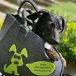 Alpenhotel Tyrol - - Adults Only - Alpines Lifestyle-konzepthotel - Dog Friendly Pertisau