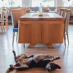 Hotel Alpenhotel Tyrol - - Adults Only - Alpines Lifestyle-konzepthotel - Dog Friendly 4*
