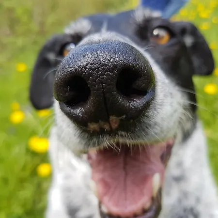 Alpenhotel Tyrol - - Adults Only - Alpines Lifestylehotel Szálloda Pertisau