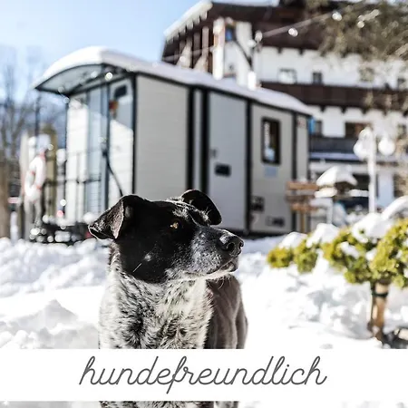 Szálloda Alpenhotel Tyrol - - Adults Only - Alpines Lifestylehotel